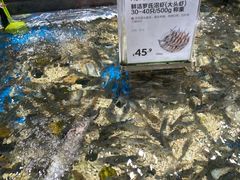 -盒马鲜生(联投广场店)