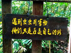 -七仙岭温泉国家森林公园