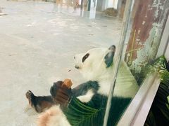 -青藏高原野生动物园