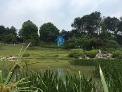 -铁山坪森林公园