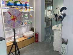 -爱洗澡的猫(望京店)