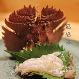 🍃北京探店|这家日料的性价比也太高了吧!
