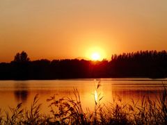 -大兴滨河森林公园