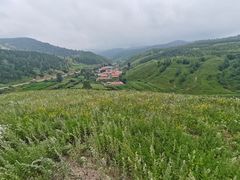 -塞罕坝国家级自然保护区