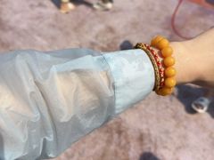 -西双版纳傣族园