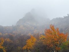 -中华福寿山