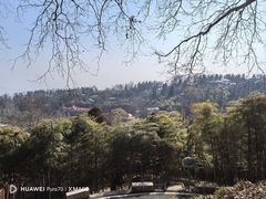 -莫干山风景区