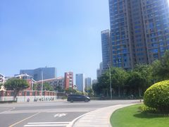 -五缘湾湿地公园