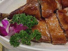 -满园春酒楼(庐江路店)