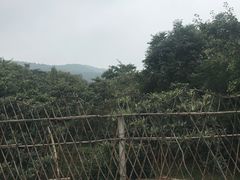 -雨花胜境