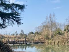 -桤木河湿地公园