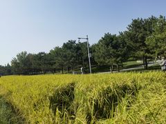-北坞公园