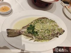 -稻香酒家·35年老字号(侨光店)