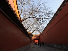 -故宫博物院(故宫)