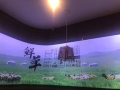 -九府羊·鲜羊火锅·烤串(新华路店)