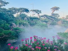 -罗红摄影艺术馆