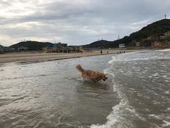 -嵊泗基湖沙滩