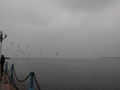 景点-栈桥景区