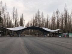 -东平国家森林公园