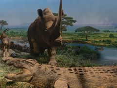 -国家自然博物馆