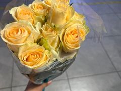 -盒马鲜生(枣园路店)