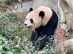 -烤匠麻辣烤鱼(万象城店)