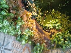 -湘当爱·鲜煮现炒(松岗立业路店)