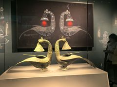 -广西壮族自治区博物馆