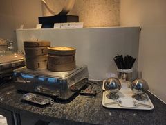 -虹桥机场国航贵宾室v8