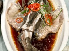 -陈麻婆豆腐(旗舰店)