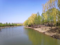 -东郊湿地公园