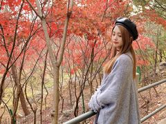 -崂山巨峰游览区