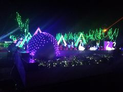 -东南花都花博园