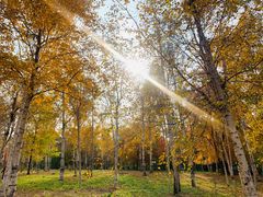 -长春市南湖公园