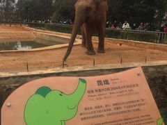 -昆明动物园