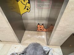 -银泰百货(北京大红门店)