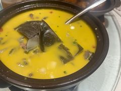 红煨甲鱼-潇湘甲鱼村(清河店)