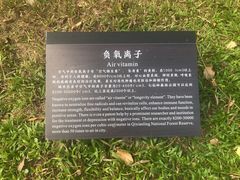 -七仙岭君澜度假酒店·桃源小馆中餐厅