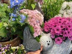 -双季花艺园艺市场(浦东店)