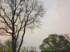 -北京明城墙遗址公园