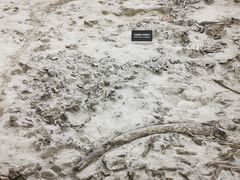 -金沙遗址博物馆