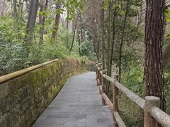 -铁山坪森林公园