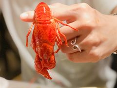 -巴厘龙虾·榜首油焖大虾(洞庭·艺术洋房店)