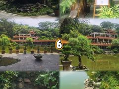 -深圳仙湖植物园
