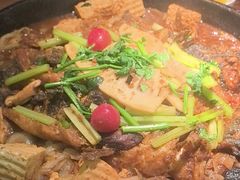 -老板恋上鱼(振华商厦店)