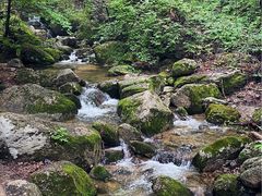 -本溪汤沟绿石谷森林公园