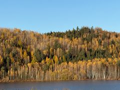 -五营红松林海景区