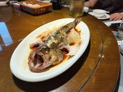 -东口码头·烧鸽子·鱼头泡饼·地方菜(金鹰悦城店)