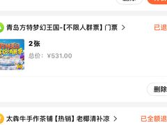 -青岛方特梦幻王国