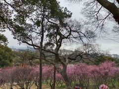 -无锡梅园公园